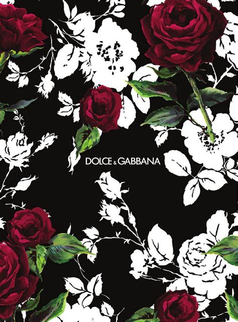 [80+] Dolce And Gabbana Wallpapers 